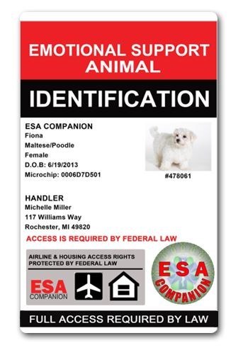 ESA Identification Cards