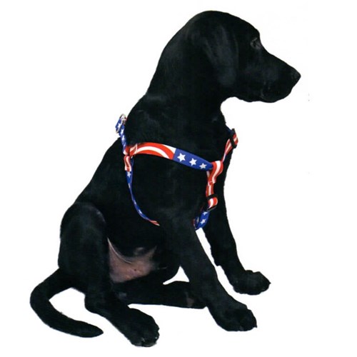 Personalized ID Step In Pet Harness