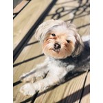 Bella