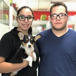 Daisy, Pembroke Welsh Corgi, lost pet near North Las Vegas, NV