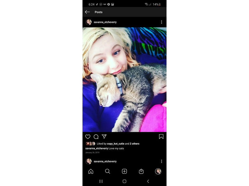 Pet Photo