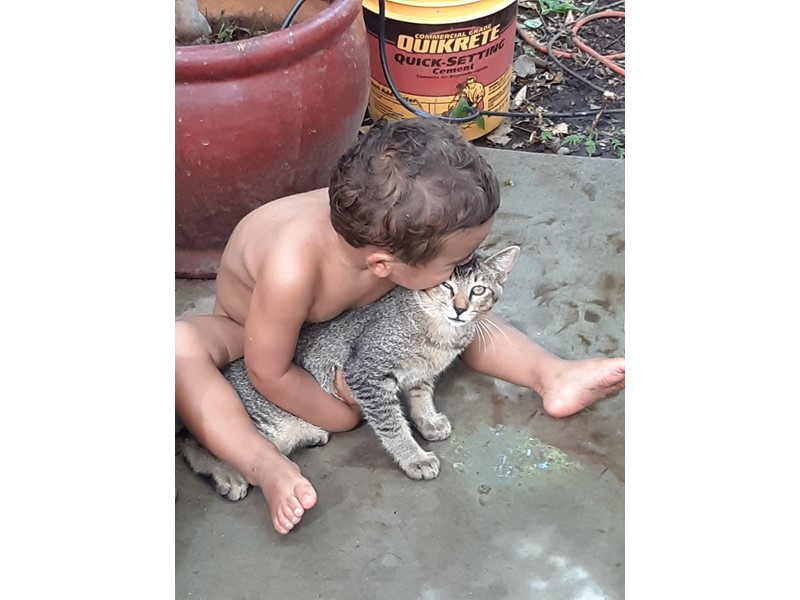 Pet Photo