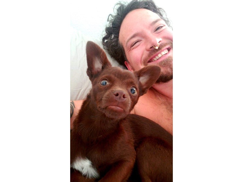 Pet Photo