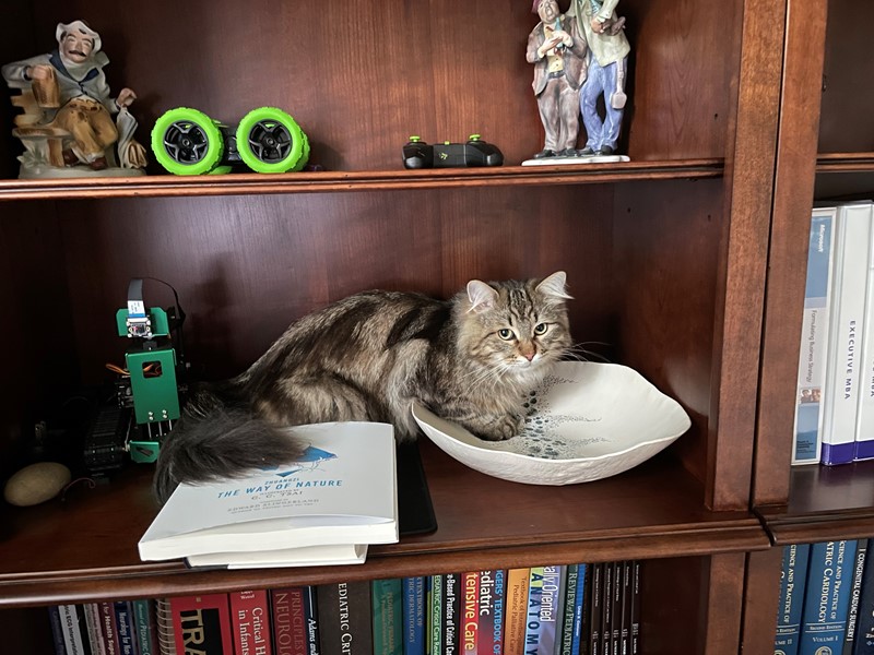 Pet Photo