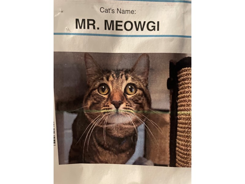 Pet Photo