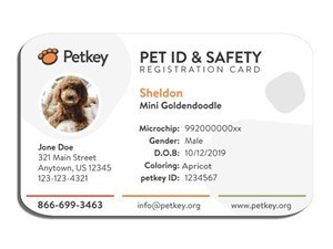Petkey Pet ID Card
