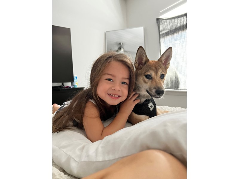 Pet Photo
