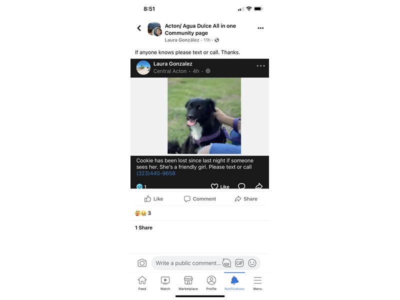 Cookie is missing in San Francisco, California 94115 Petkey