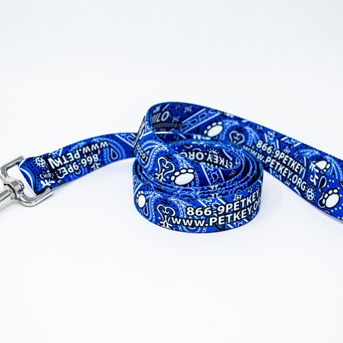 Personalized Pet ID Leash