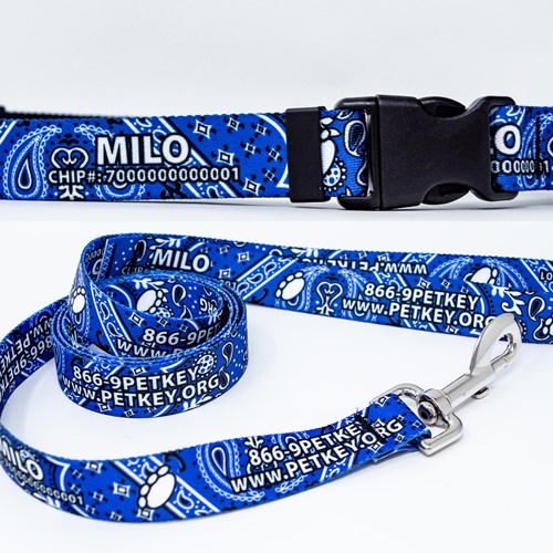 Personalized ID Collar and Leash Combo