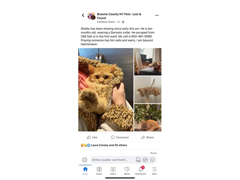 Pet Photo