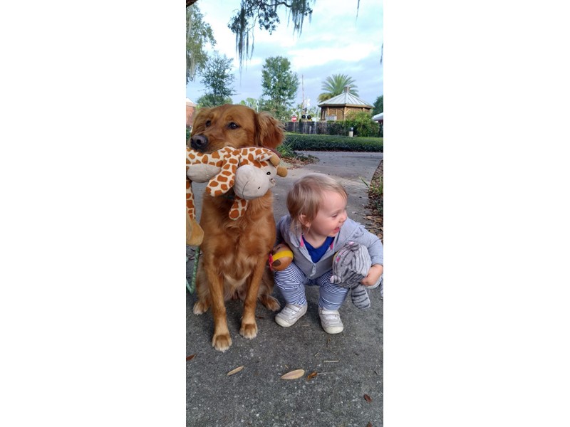 Pet Photo