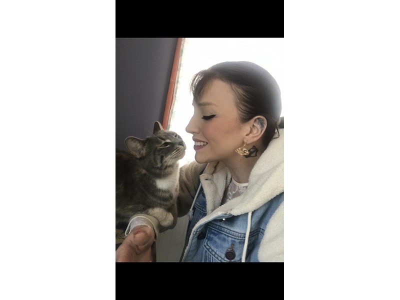 Pet Photo