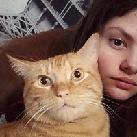 Lost Pet Image