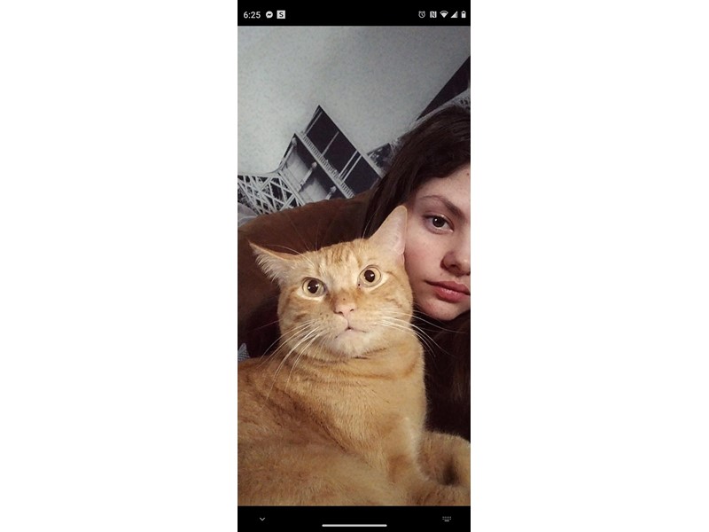 Pet Photo