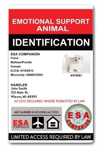ESA Identification Cards