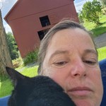 Winzor, Domestic Short Hair, lost pet near Ryegate, VT