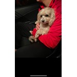 Charlie