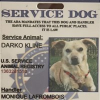 Lost Pet Image