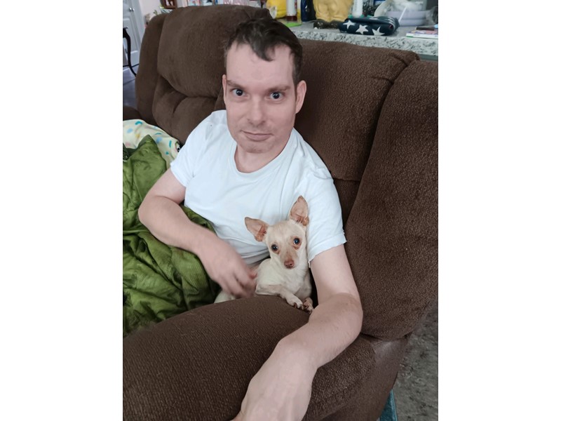 Pet Photo