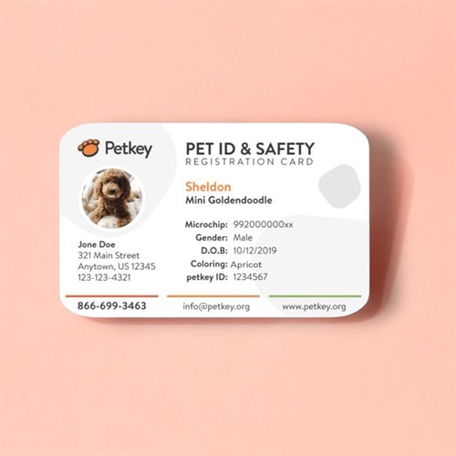 Petkey Pet ID Card