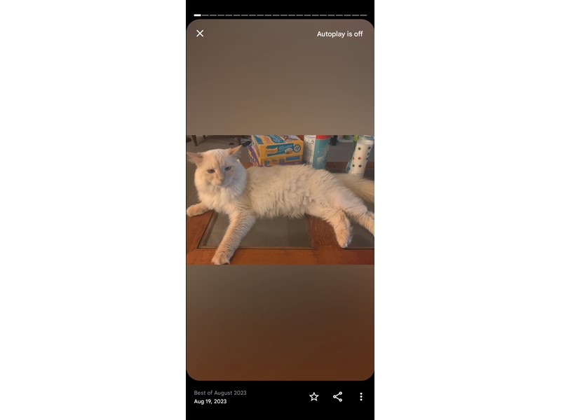 Handsome Baby is missing in Neenah, Wisconsin 54956 Petkey