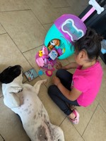 Pet Photo