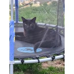 Salem