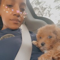 Lost Pet Image