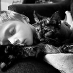 Wolfie, Domestic Short Hair, lost pet near Weathersfield, VT