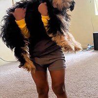 Lost Pet Image