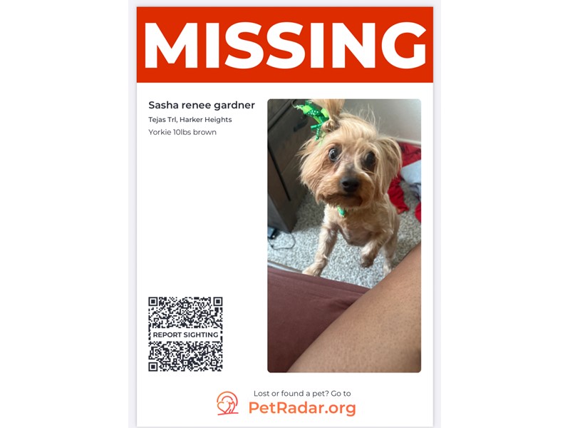 Pet Photo