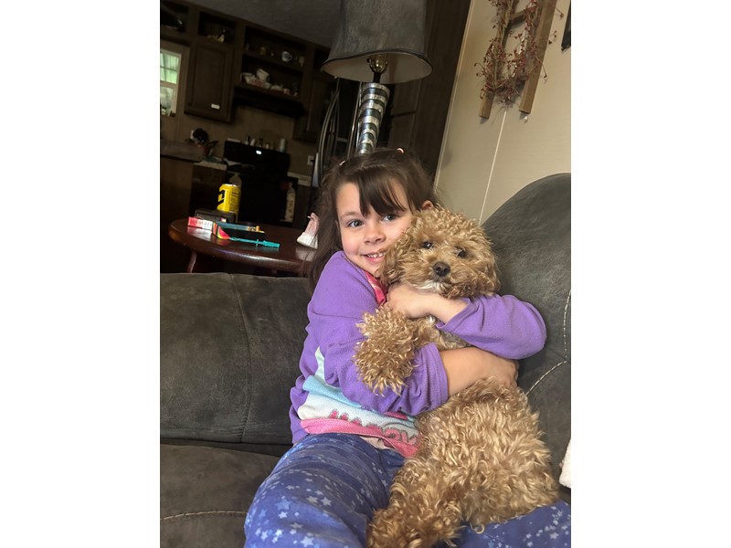 Pet Photo