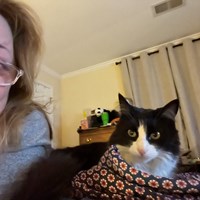 Lost Pet Image