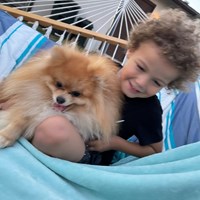 Lost Pet Image