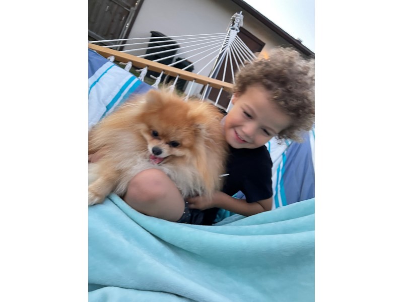 Pet Photo