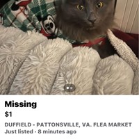 Lost Pet Image