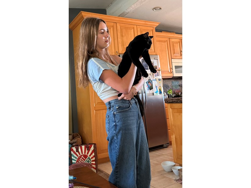 Pet Photo