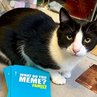 Lost Pet Image