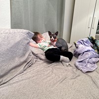 Lost Pet Image