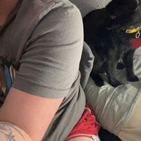 Lost Pet Image