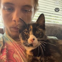 Lost Pet Image