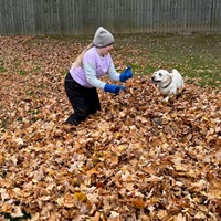 Lost Pet Image