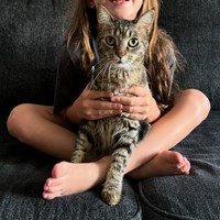 Lost Pet Image