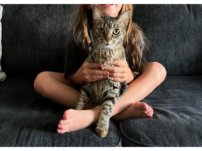 Pet Photo