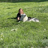 Lost Pet Image