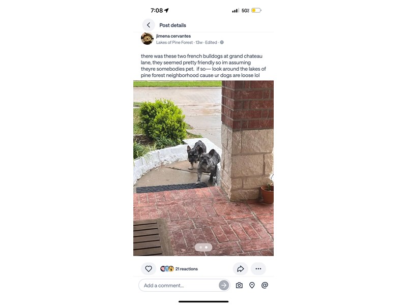 Pet Photo