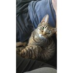 Benny