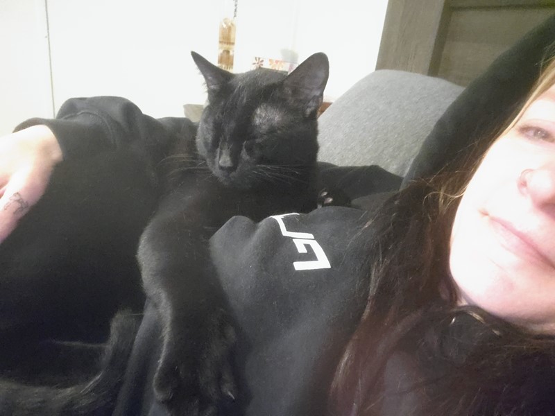 Pet Photo
