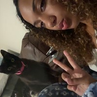 Lost Pet Image